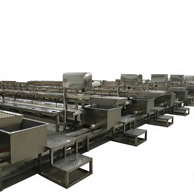 Bom preço Linha de processamento de camarão Linha de processamento de descapotamento e descascagem de camarão Linha de produção de fábrica de processamento de peixe on-line
