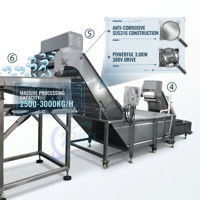 Bom preço Heavy Duty Shrimp Deheading Production Line Precision SUS316 1000-1500KG 11.7KW 415V on-line