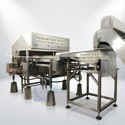 Bom preço Stainless Steel Shrimp Head Removal Machine SUS316L 500-800KG 5.5KW 60Hz For Shrimp Processing Plant on-line