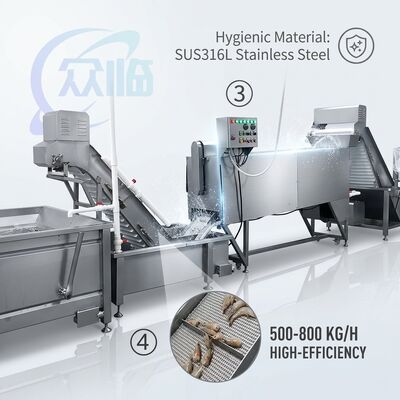 Bom preço Energy Saving Shrimp Deheading Sorting Machine SUS304 Stainless Steel 1200-1800KG 7.5KW 380V on-line