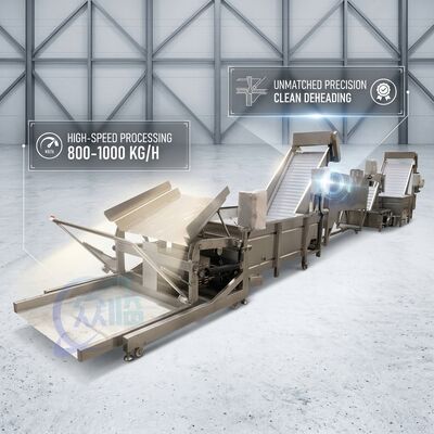 Bom preço SUS316 Shrimp Deheading System Food Grade SUS304 800-1000KG 3.0KW 415V For Fish Processing Plant on-line