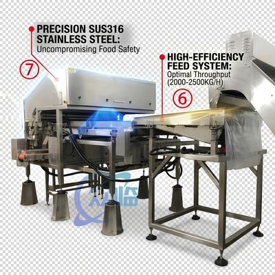 Bom preço Rugged Shrimp Head Separator SUS304 Stainless Steel 800-1000KG 15KW 440V For Shrimp Processing Plant on-line