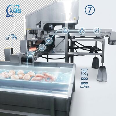 Bom preço High Output Shrimp Processing Machine Hygienic SUS304 500-800KG 0.8KW 220V For Seafood Export Company on-line