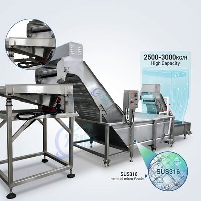 Bom preço Máquina de Descascar e Classificar Camarão Multicena SUS304 Aço Inoxidável 1500-2000KG 3.0KW 380V on-line