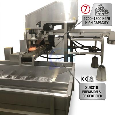 Bom preço Sistema Automático de Descascamento de Camarão de Longa Duração SUS316L 2000-2500KG 3.0KW 415V para Fábrica de Catering on-line