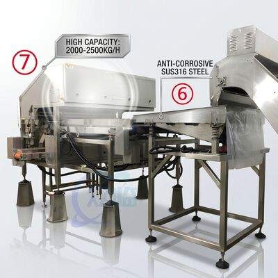 Bom preço Linha de Produção Eficiente para Descascar Camarão Precisão SUS316 1500-2000KG 7.5KW 415V on-line