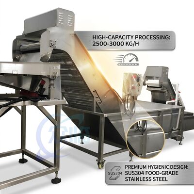 Bom preço CE Certified Shrimp Deheading Production Line Precision SUS316 1200-1800KG 2.2KW 415V on-line