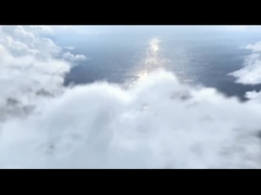 Camarão de camarão