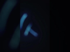 Máquina de limpeza de lulas de frutos do mar 380V